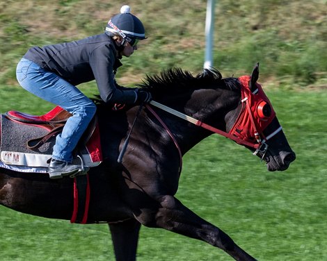 Tyler&#39;s Tribe, <br><br />
Training, scenes and racing at Keeneland on Oct. 15, 2022.