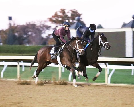 Atomically and Chocolate Gelato - Work - Keeneland - 102022