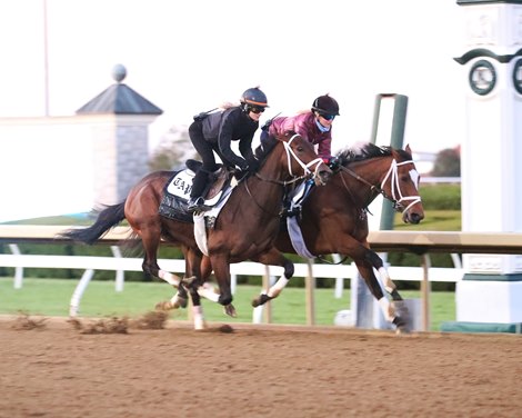 Nest (Outside) Malathaat (Inside) - Work - Keeneland - 102122