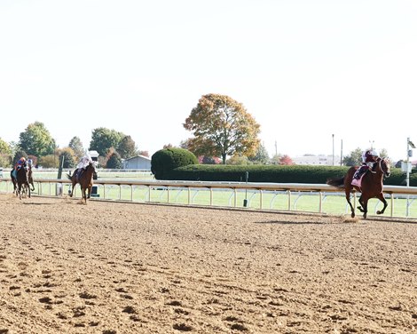 Extra Anejo - Maiden Win, Keeneland, October 13, 2022