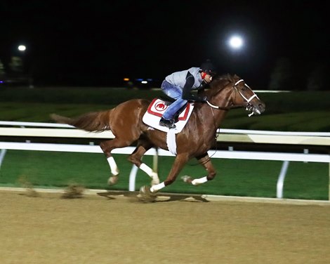 Rich Strike - Keeneland - Work - 10-15-22
