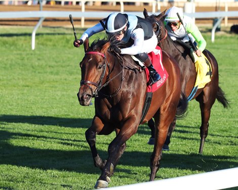 Mia Martina - ALW, Keeneland, October 7, 2022