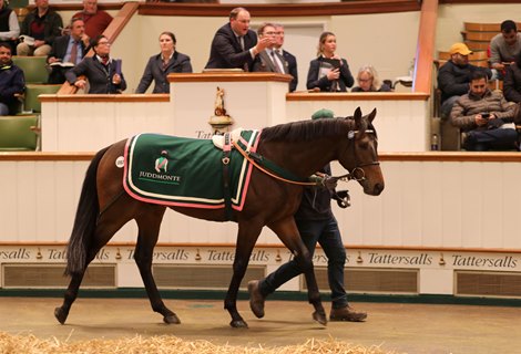 Lot 1087 One World (GB) 2020 B.G.  BY Sea The Stars (IRE) EX Time Chaser (GB)       Juddmonte Farms    Athbah Racing    525,000 Tattersalls Autumn Horses in Training Sale 26/10/22