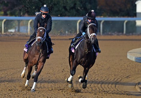October 28, 2022: Atomically (L) Nora McCormack up, and stablemate Chocolate Gelato, Amelia Green up, work four furlongs Friday morning in 49.80, for trainer Todd Pletcher<br><br />
Rick Samuels/The Blood-Horse