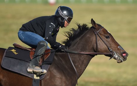 Campanelle - Keeneland, October 21, 2022