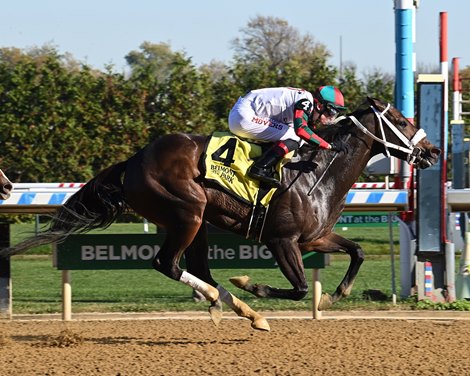 November Rein wins 2022 Iroquois Stakes at Belmont at the Big A