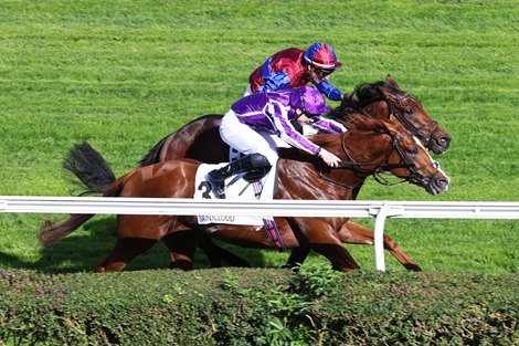 Proud And Regal wins the 2022 Criterium International at Saint-Cloud with Gavin Ryan up