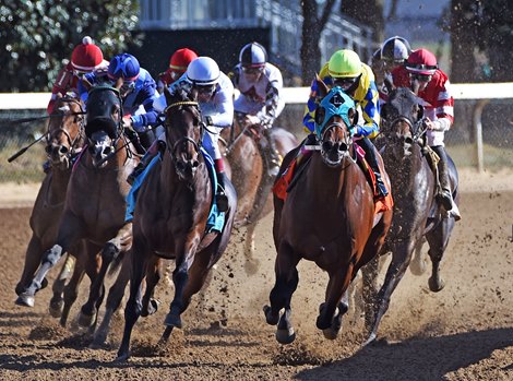 October 8, 2022: Slammed (Yellow) Florent Geroux up, wins the Gr.2 Thoroughbred Club of America Stakes at Keeneland...<br><br />
Rick Samuels/The Blood-Horse