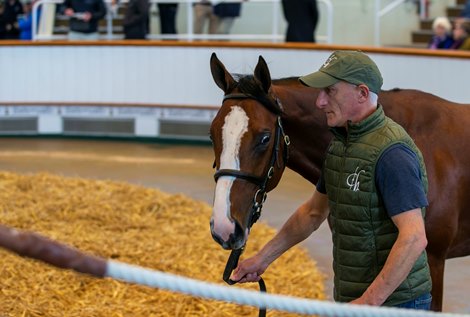 Lot 238 Frankel (GB) / Sweepstake (IRE) B.C. (IRE)      Croom House Stud, Ireland    M V Magnier    2,400,000   <br>
Tattersalls October Yearling Sale Book 1 05/10/22