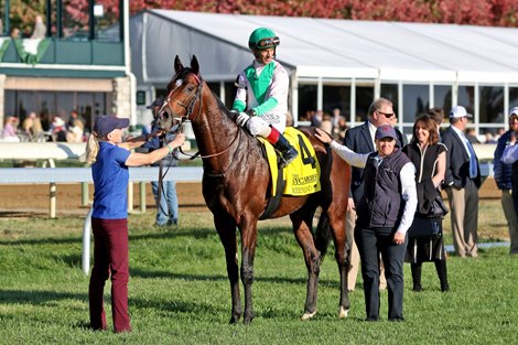 October 14, 2022: Highland Chief (IRE) acquires a Class III Sycamore Share in Keeneland for coach H. Graham Motion and owner Ms. Fitri Hay.
