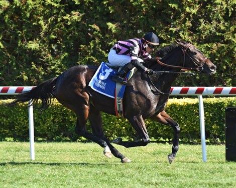 Evvie Jets wins the 2022 Noble Damsel Stakes at Belmont At The Big A