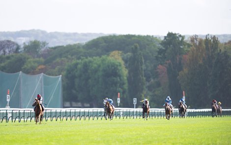 Kyprios (Ryan Moore) starts to hang over towards the stands rail but holds on to win the Prix Du Cadran<br>
Longchamp 1.10.22 Pic: Edward Whitaker