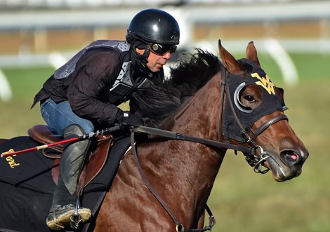 October 11, 2022: Love Reigns working 4 furlongs on the turf Tuesday morning at Keeneland...<br><br />
Rick Samuels/The Blood-Horse