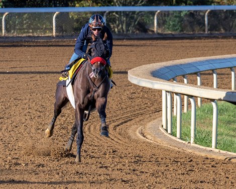 Hot Rod Charlie<br><br />
Training, cenes and racing at Keeneland on Oct. 15, 2022.