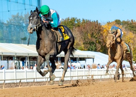 Chickieness wins the 2022 Maryland Million Lassie Stakes at Laurel Park