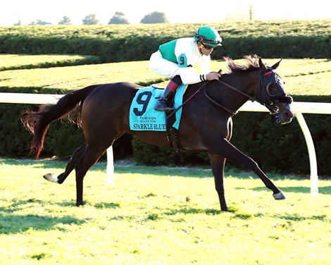 Sparkle Blue wins the 2022 Valley View Stakes at Keeneland