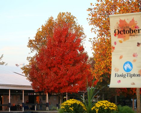 Beautiful scenery at Fasig-Tipton October Yearlings on sale on October 22, 2022.