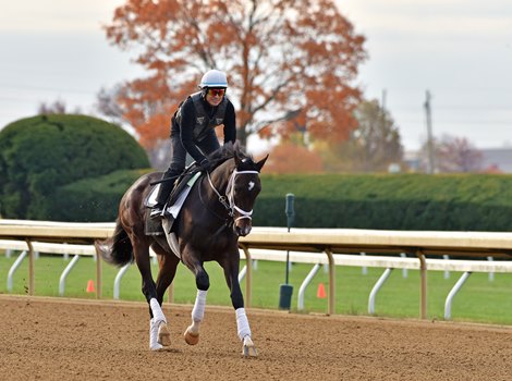 October 25, 2022: Forte...<br><br />
Rick Samuels/The Blood-Horse