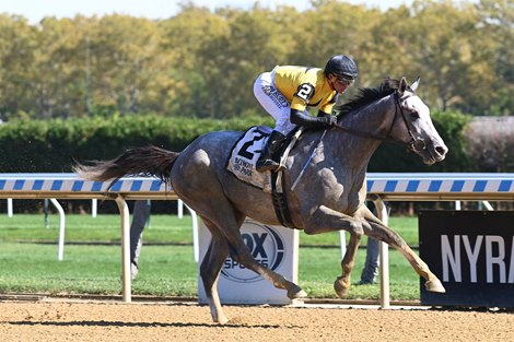 Signator - Maiden Win, Belmont At The Big A, October 14, 2022