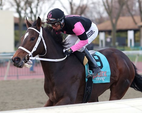 Girl Trouble #9 draws off to an easy victory under Paco Lopez to capture the $75,000 Future Stars Handicap - Filly Division on November 29, 2022 at Parx Racing in Bensalem, PA. The NJ-Bred daughter of Fast Anna is trained by Robert &quot;Butch&quot; Reid, Jr., for Swilcan Stable LLC and LC Racing LLC. Photo by Nikki Sherman/EQUI-PHOTO.