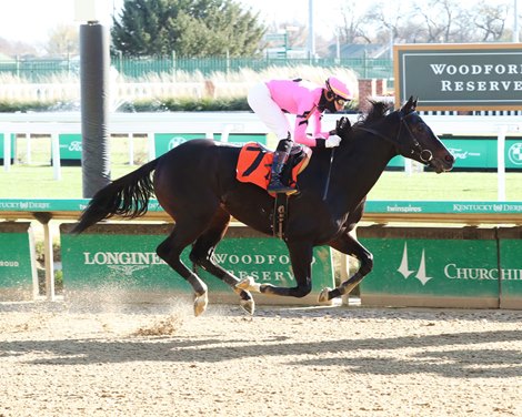 Loot the Moon - Mcl - CD - 111922