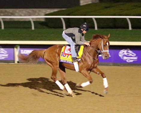 Rich Strike on the track at Keeneland on November 1, 2022 preparing for the Breeders&#39; Cup Classic. Photo By: Chad B. Harmon