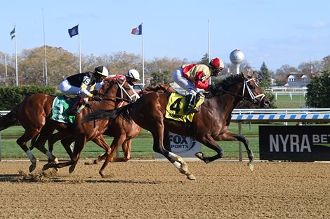 Litigate - Maiden Win, Aqueduct, November 19, 2022