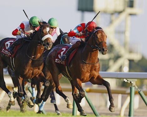 Gastrique wins 2022 Tokyo Sports Two Nisai Staking in Tokyo