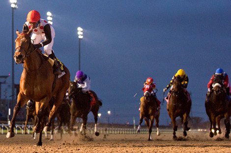 Jockey Patrick Husbands guides Our Flash Drive to victory for owner Live Oak Plantation and trainer Mark Casse in the $175,000 Bessabrabian Stakes at Woodbine Racetrack.