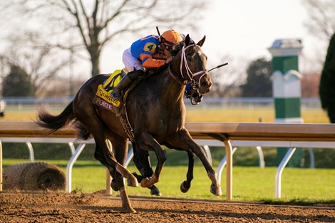 November 4, 2022: #4 Forte (Violence) and jockey Irad Ortiz Jr. win the Breeders Cup Juvenile for owners Mike Repole and St. Elias Stable and trainer Todd Pletcher at Keeneland in Lexington, Kentucky.