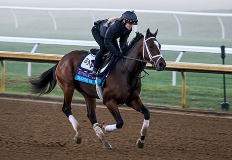 Major Dude gallops at the Keeneland Race Course Thursday Nov. 3, 2022 in Lexington, KY. Photo by Skip Dickstein
