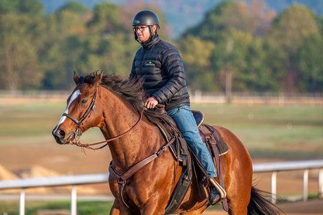 Riley Mott at Oaklawn, November 6, 2022