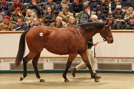 Lot 1900 Love Is You (IRE) 2018 B.M.  BY Kingman (GB) EX Fallen For You (GB)       Newsells Park Stud Ltd.    Godolphin    1,400,000<br>
Tattersalls December Sale Breeding Stock 29/11/22