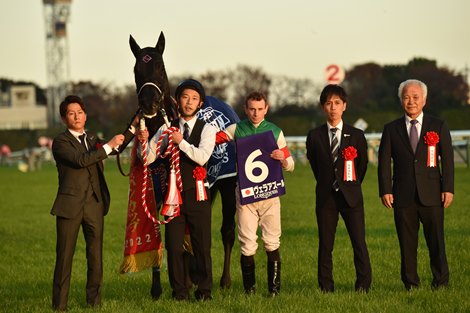 Vela Azul, Japan Cup 2022 champion, ridden by Ryan Moore, coached by Kunihiko Watanabe and owned by Carrot Farm Co., Ltd.
