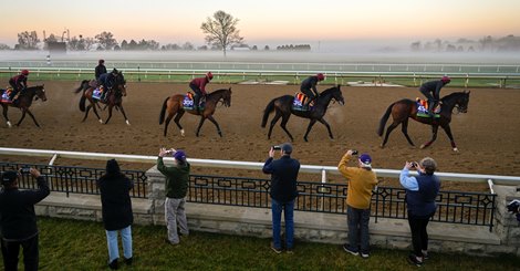 Aidan O’Brien’s group gallops at the Keeneland Race Course Thursday Nov. 3, 2022 in Lexington, KY. Photo by Skip Dickstein