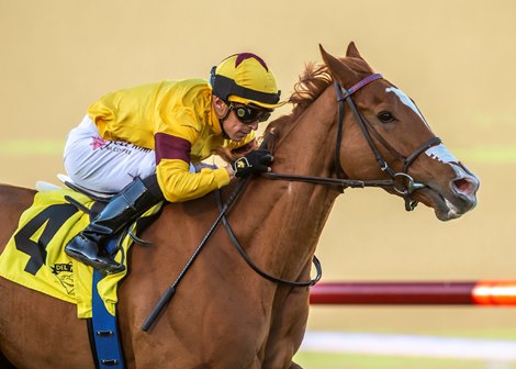 #4 BIPARTISANSHIP (Juan Hernandez)<br><br />
$75,000 Kathryn Crosby Stakes<br><br />
Owner: Fortune Racing LLC<br><br />
Trainer: H. Graham Motion<br><br />
Saturday, November 12, 2022<br><br />
Del Mar Thoroughbred Club<br><br />
Del Mar CA.<br><br />
&#169; BENOIT PHOTO