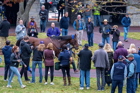 Flightline<br><br />
Training and Schooling at Keeneland on Nov. 2, 2022.