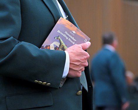 catalog<br>
Sales scenes and hips at Keeneland Breeding Stock Sale on Nov. 10, 2022.