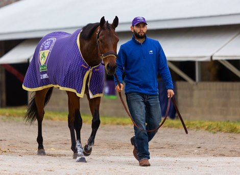 Slammed at Keeneland ahead of the Breeders&#39; Cup in Lexington, KY, on Nov. 2, 2022.