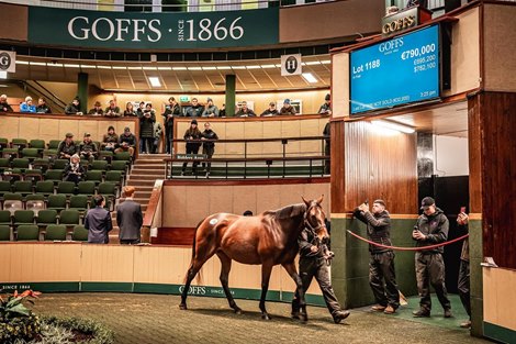 2022 Goffs November Breeding Stock Sale, Lot 1188