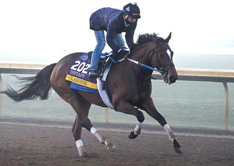 Clairiere Gallops on Keeland Race Course Thursday, November 3, 2022 in Lexington, Ky. Photo by Skip Dickstein