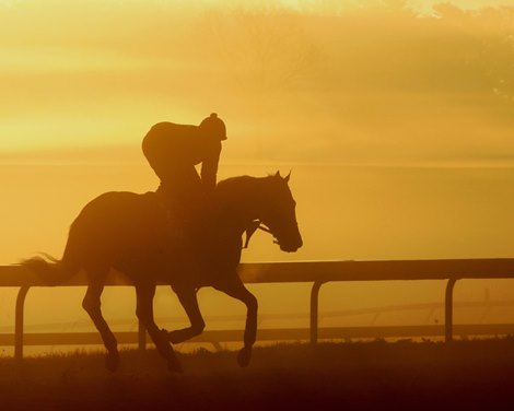 Cave Rock on the track at Keeneland on November 3, 2022 preparing for the Breeders&#39; Cup Juvenile. Photo By: Chad B. Harmon
