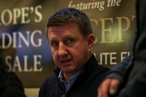 Tattersalls December Sale<br><br />
Breeding Stock 28/11/22