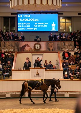 2022 Tattersalls December Breeding Stock Sale, Lot 1904<br>
Alcohol Free (IRE) 2018 B.F. BY No Nay Never (USA) EX Plying (USA)  <br>
29/11/22