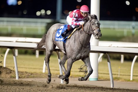 Jockey Rafael Hernandez guides Renegade Rebel #3 to victory in the $150,000 Mazarine Stakes. Renegade Rebel is owned by D. J. Stable LLC and trained by Mark Casse.