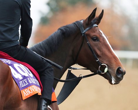 Above the Curve - Morning - Keeneland - 11-02-22