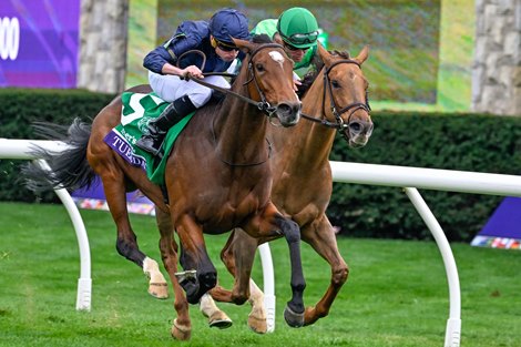 The Punisher upsets Pellegrini, earns Breeders' Cup Turf spot