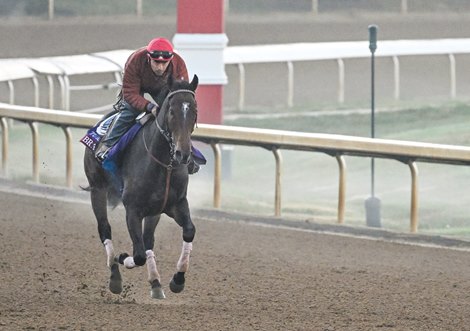 Bran gallops at the Keeneland Race Course Thursday Nov. 3, 2022 in Lexington, KY. Photo by Skip Dickstein
