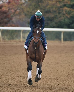 Cyberknife aims to cut the competition in Dirt Mile
