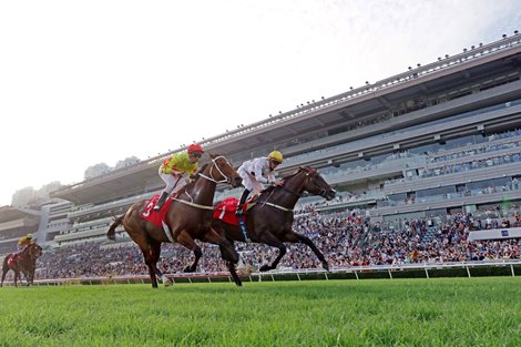 Golden Sixty trained by Francis Lui, with Vincent Ho on board, wins the G2 BOCHK Private Race Club Mile (1600m) at Sha Tin Racecourse today